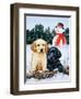 Lab Puppies with Snowman-William Vanderdasson-Framed Giclee Print