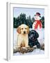 Lab Puppies with Snowman-William Vanderdasson-Framed Giclee Print