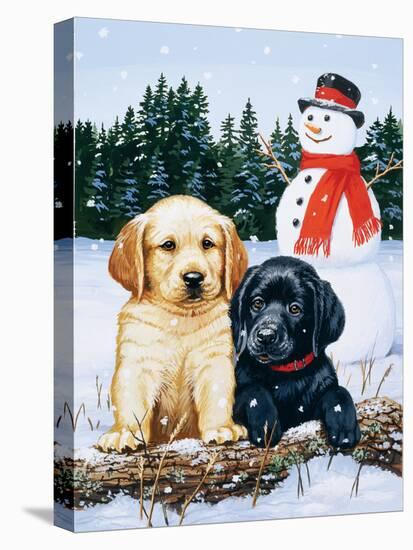 Lab Puppies with Snowman-William Vanderdasson-Stretched Canvas