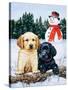 Lab Puppies with Snowman-William Vanderdasson-Stretched Canvas