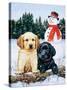 Lab Puppies with Snowman-William Vanderdasson-Stretched Canvas