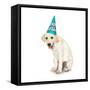 Lab Puppy Wearing Birthday Hat-Lew Robertson-Framed Stretched Canvas