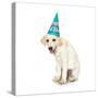 Lab Puppy Wearing Birthday Hat-Lew Robertson-Stretched Canvas