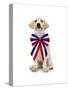 Lab Puppy Wearing Patriotic Bow Tie-Lew Robertson-Stretched Canvas