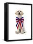 Lab Puppy Wearing Patriotic Bow Tie-Lew Robertson-Framed Stretched Canvas