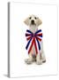 Lab Puppy Wearing Patriotic Bow Tie-Lew Robertson-Stretched Canvas