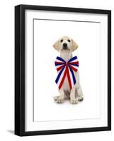 Lab Puppy Wearing Patriotic Bow Tie-Lew Robertson-Framed Photographic Print