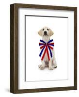 Lab Puppy Wearing Patriotic Bow Tie-Lew Robertson-Framed Photographic Print