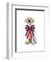 Lab Puppy Wearing Patriotic Bow Tie-Lew Robertson-Framed Photographic Print