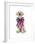 Lab Puppy Wearing Patriotic Bow Tie-Lew Robertson-Framed Photographic Print