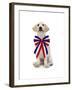 Lab Puppy Wearing Patriotic Bow Tie-Lew Robertson-Framed Photographic Print