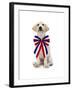 Lab Puppy Wearing Patriotic Bow Tie-Lew Robertson-Framed Photographic Print