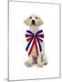 Lab Puppy Wearing Patriotic Bow Tie-Lew Robertson-Mounted Photographic Print