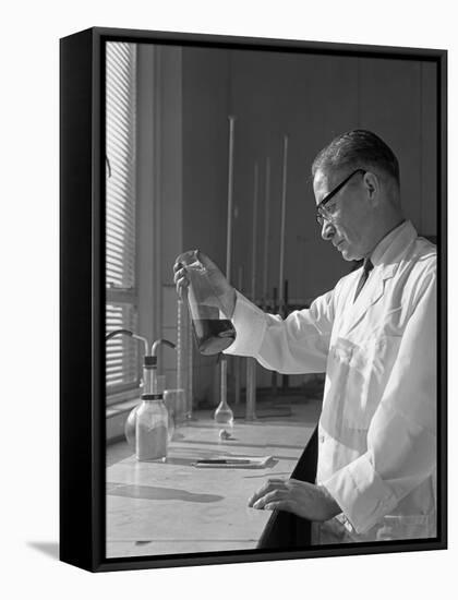 Lab Technician at a Steelworks in Sheffield, South Yorkshire, 1963-Michael Walters-Framed Stretched Canvas