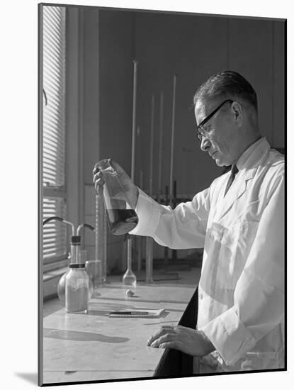 Lab Technician at a Steelworks in Sheffield, South Yorkshire, 1963-Michael Walters-Mounted Photographic Print