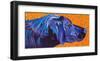 Lab With Orange-Kathryn Wronski-Framed Premium Giclee Print