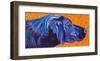 Lab With Orange-Kathryn Wronski-Framed Art Print