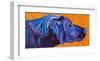 Lab With Orange-Kathryn Wronski-Framed Art Print