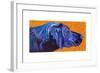 Lab With Orange-Kathryn Wronski-Framed Art Print