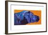 Lab With Orange-Kathryn Wronski-Framed Art Print