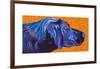 Lab With Orange-Kathryn Wronski-Framed Art Print