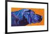 Lab With Orange-Kathryn Wronski-Framed Art Print