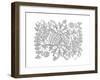 Label Pattern 2-Neeti Goswami-Framed Art Print