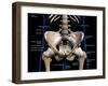 Labeled 3D rendering of male pelvis, hip, and leg bones on a black background.-Hank Grebe-Framed Art Print