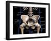 Labeled 3D rendering of male pelvis, hip, and leg bones on a black background.-Hank Grebe-Framed Art Print