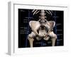 Labeled 3D rendering of male pelvis, hip, and leg bones on a black background.-Hank Grebe-Framed Art Print