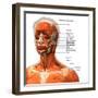 Labeled chart of the facial muscles of a woman, front view on a white background.-Hank Grebe-Framed Art Print