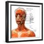 Labeled chart of the facial muscles of a woman, front view on a white background.-Hank Grebe-Framed Art Print