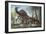 Labocania Attacking a Magnapaulia Dinosaur-null-Framed Art Print