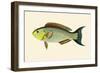 Laboo-Girawah-John Whitchurch Bennett-Framed Art Print