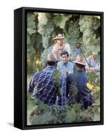 Labor Activist Cesar Chavez Talking in Field with Grape Pickers of United Farm Workers Union-Arthur Schatz-Framed Stretched Canvas