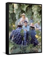 Labor Activist Cesar Chavez Talking in Field with Grape Pickers of United Farm Workers Union-Arthur Schatz-Framed Stretched Canvas