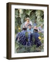 Labor Activist Cesar Chavez Talking in Field with Grape Pickers of United Farm Workers Union-Arthur Schatz-Framed Premium Photographic Print