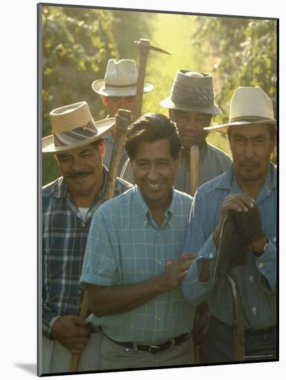 Labor Activist Cesar Chavez Talking in Field with Grape Pickers of United Farm Workers Union-Arthur Schatz-Mounted Premium Photographic Print