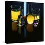Laboratory Flasks and Beakers Filled with Liquid-James L^ Amos-Stretched Canvas