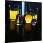 Laboratory Flasks and Beakers Filled with Liquid-James L. Amos-Mounted Photographic Print