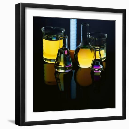 Laboratory Flasks and Beakers Filled with Liquid-James L. Amos-Framed Photographic Print