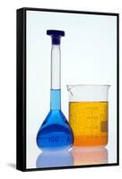 Laboratory Glassware-Paul Rapson-Framed Stretched Canvas