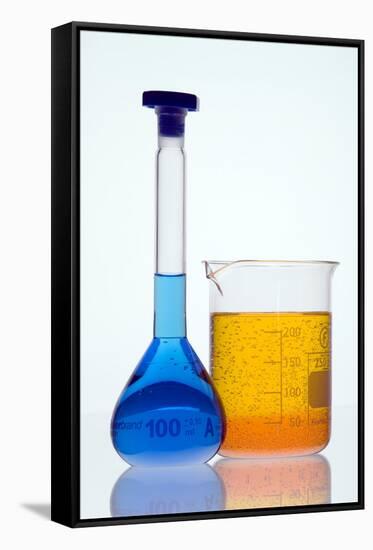 Laboratory Glassware-Paul Rapson-Framed Stretched Canvas