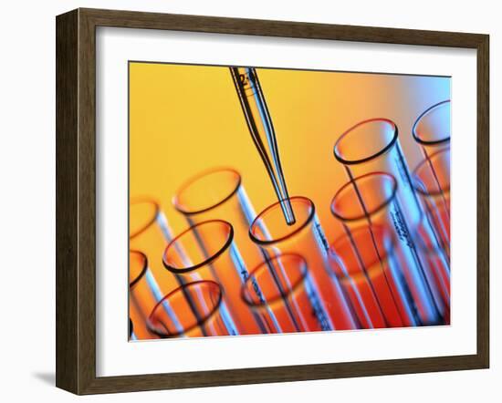 Laboratory Glassware-Tek Image-Framed Photographic Print