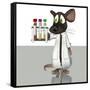 Laboratory Mouse, Conceptual Artwork-Friedrich Saurer-Framed Stretched Canvas