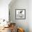 Laboratory Mouse, Conceptual Artwork-Friedrich Saurer-Framed Premium Photographic Print displayed on a wall