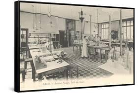 Laboratory, Pasteur Institute-null-Framed Stretched Canvas