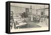 Laboratory, Pasteur Institute-null-Framed Stretched Canvas