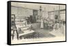 Laboratory, Pasteur Institute-null-Framed Stretched Canvas