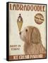 Labradoodle, Golden, Ice Cream-Fab Funky-Framed Stretched Canvas
